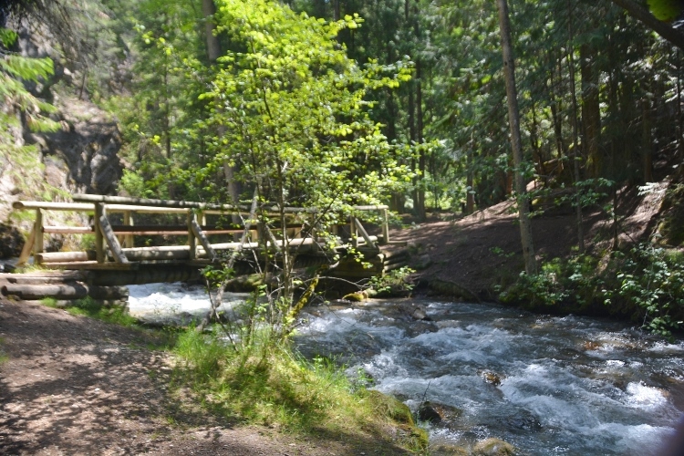 bridge and trail